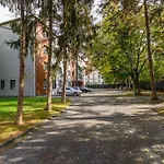 Koa - Davino