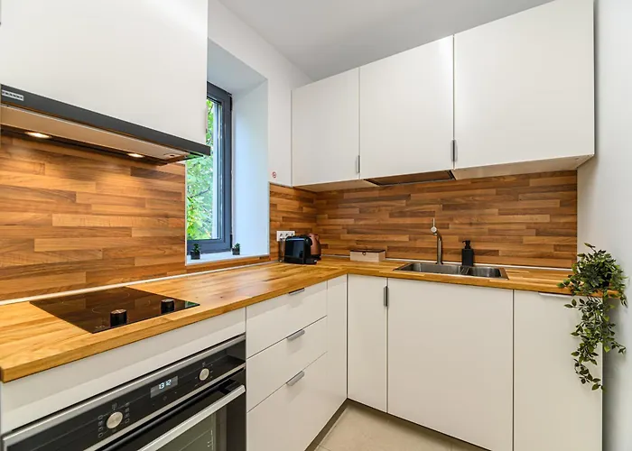 Koa - Davino براشوف