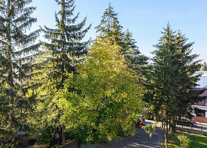 Koa - Davino Apartman 3*